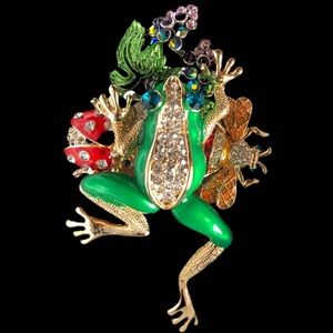 “Cara ny” brooch , frog and garden.